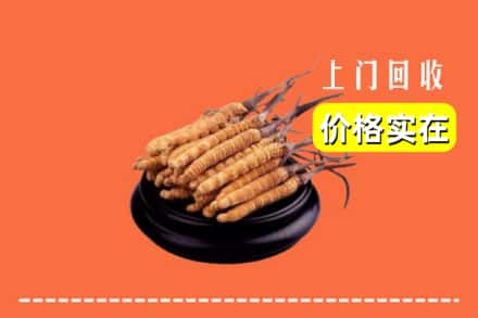 汕头市澄海回收冬虫夏草